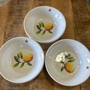 6 Shabby Chic Bees and Lemons Melamine Salad/Cereal Bowls Outdoors Vibe Retro